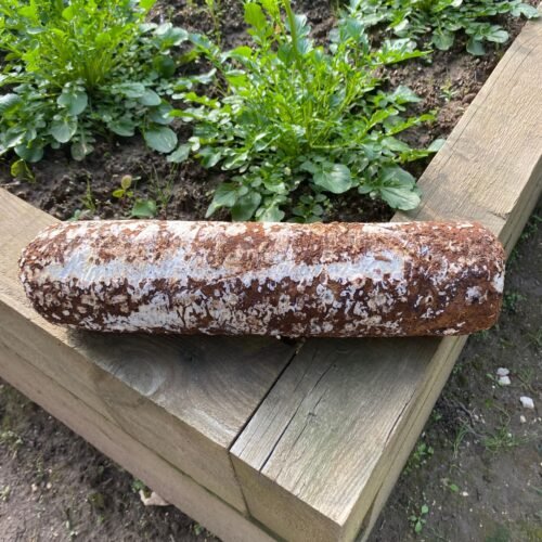 Kit de Cultivo de Cogumelo