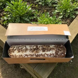 Kit de cultivo Shiitake