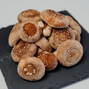 Cogumelo Shiitake