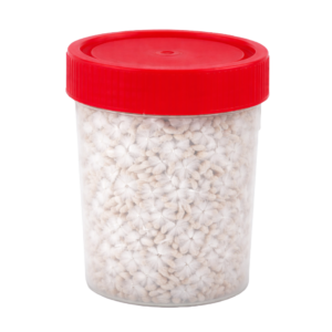 Frasco de Spawn em Grão [100g]