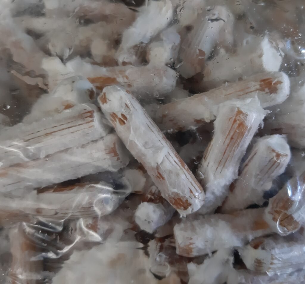 Cavilhas inoculadas