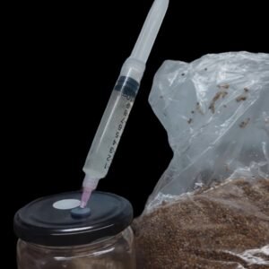 Seringa de Cultura Líquida Viva - 10 ml / 20ml /50ml