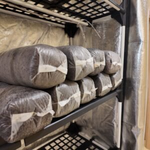 substrato estéril para produção de cogumelos