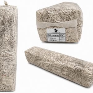 Bloco de Cultivo 2,1Kg - Pronto a produzir