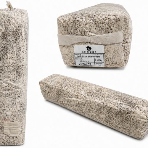Bloco de Cultivo 2,1Kg - Pronto a produzir