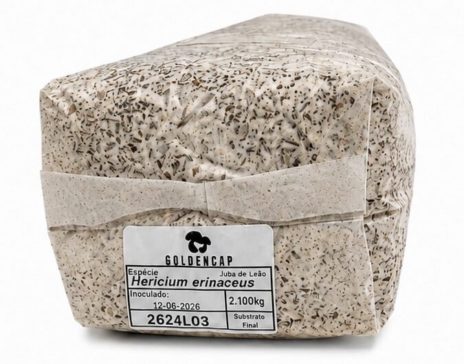 Bloco de Cultivo 2,1Kg - Pronto a produzir - Image 3