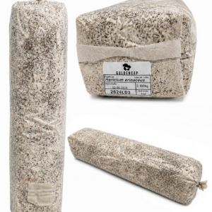 Bloco de Cultivo - Pronto a produzir - 5 Espécies Disponíveis