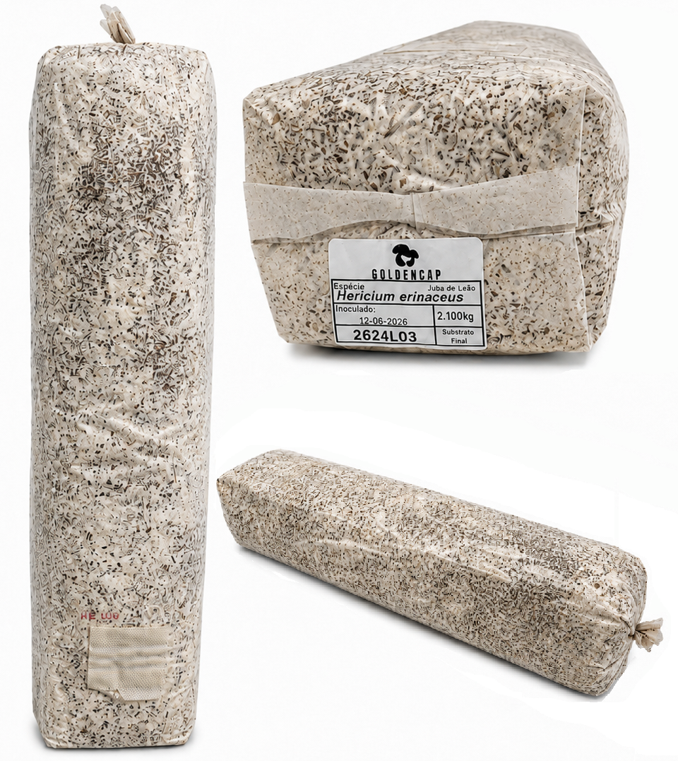 Bloco de Cultivo 2,1Kg - Pronto a produzir