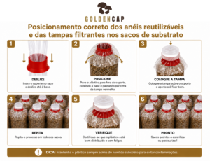 Tampas filtrantes e anéis reutilizáveis